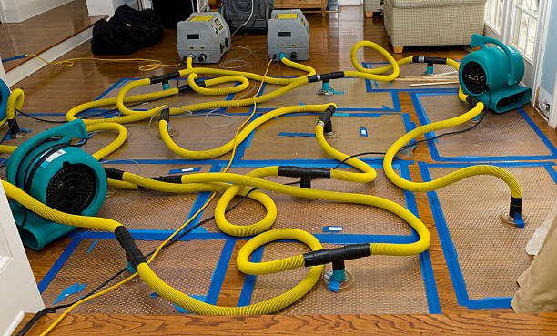 Professional Water Extraction technician working in Greenfield, OH